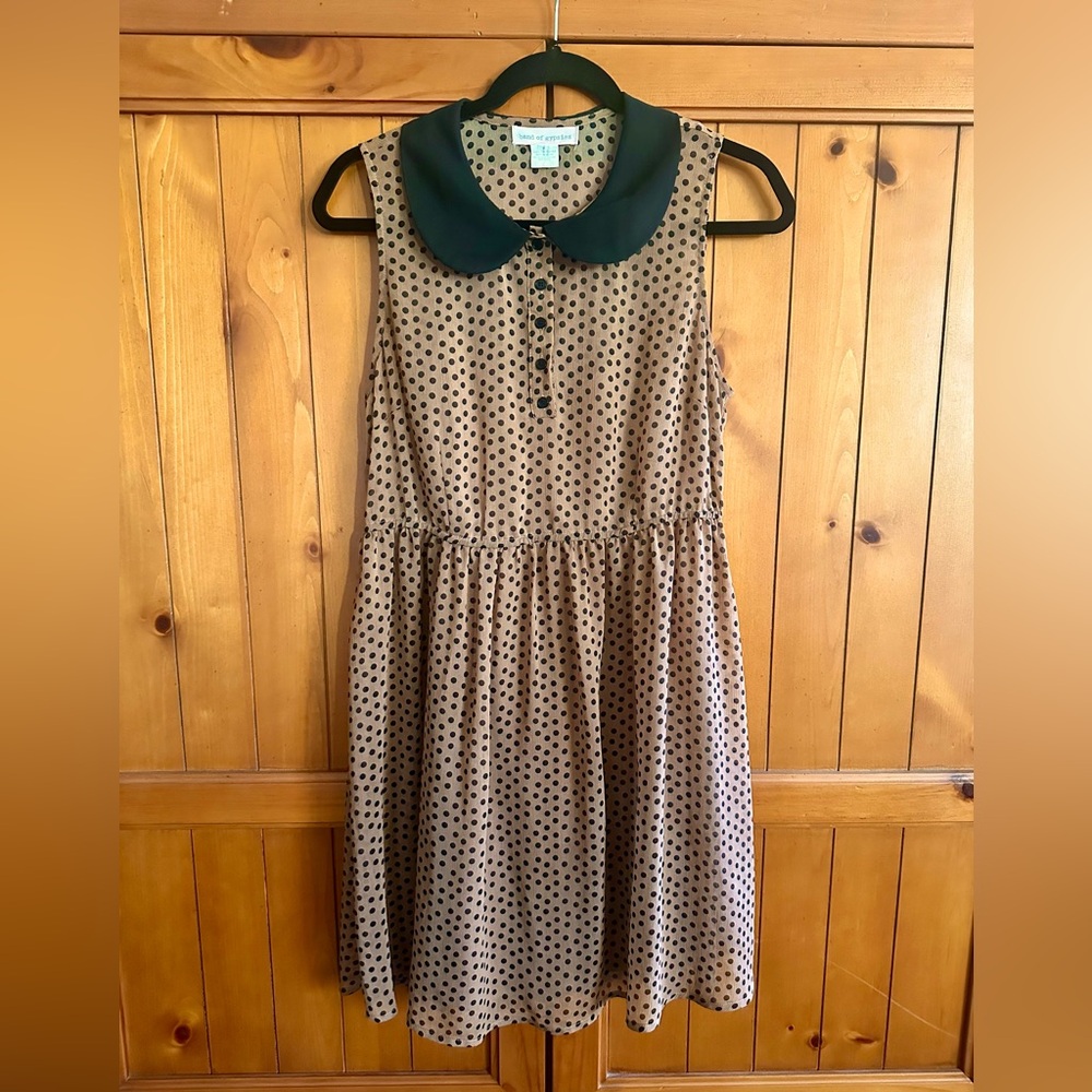 Brown/Black Polka Dot Dress with Collar